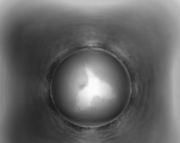 X0000088741158200706071654