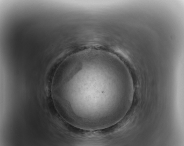 X0000088741159200706071654