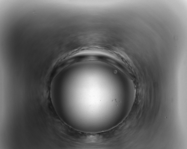 X0000088741160200706071654