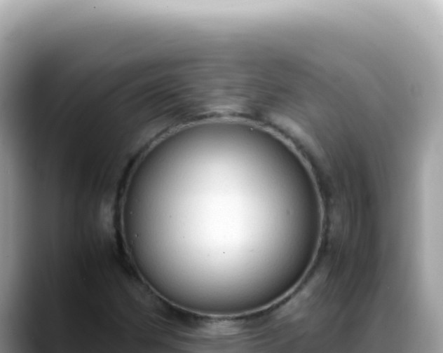 X0000088741162200706071654