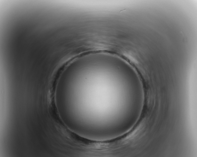 X0000088741163200706071654
