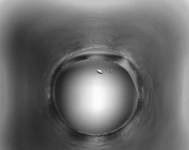 X0000088741165200706071654