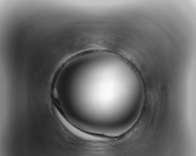 X0000088741168200706071654