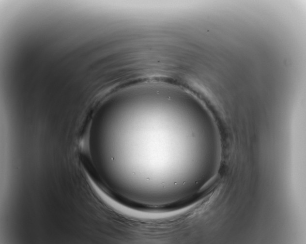 X0000088741169200706071654