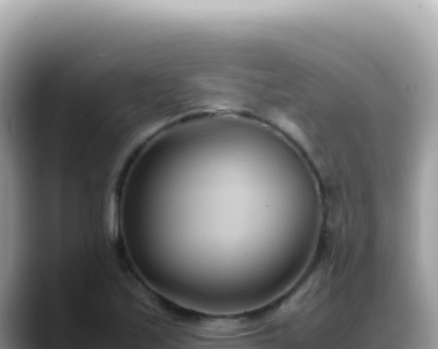 X0000088741171200706071654