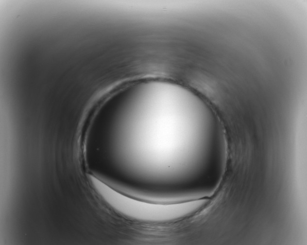 X0000088741172200706071654