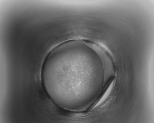 X0000088741173200706071654