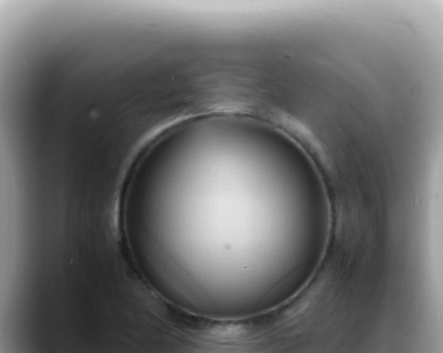 X0000088741174200706071654