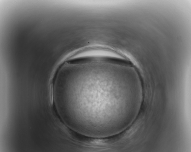 X0000088741175200706071654