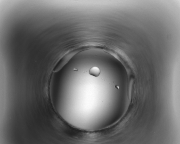 X0000088741177200706071654