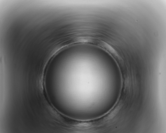 X0000088741178200706071654