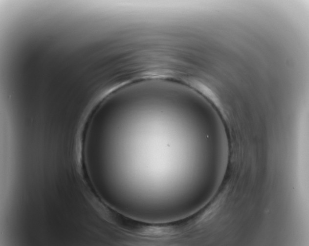X0000088741179200706071654