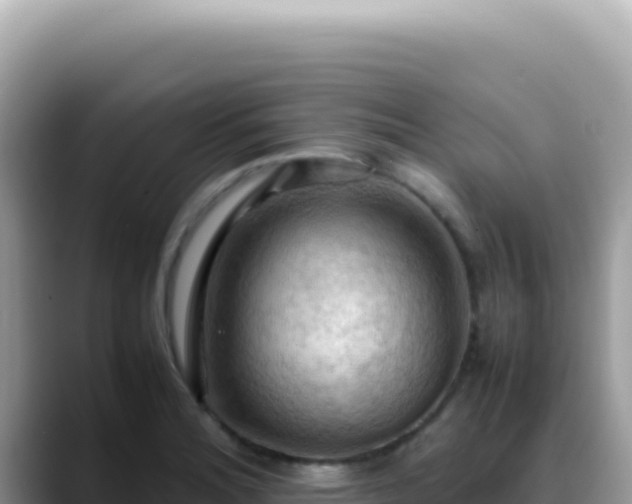 X0000088741180200706071654