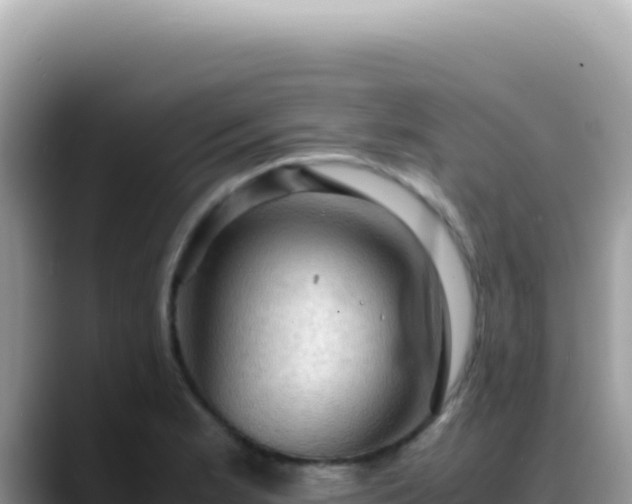 X0000088741181200706071654