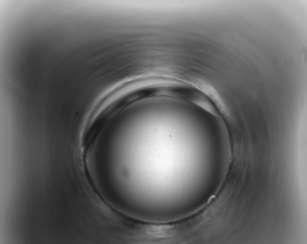 X0000088741184200706071654