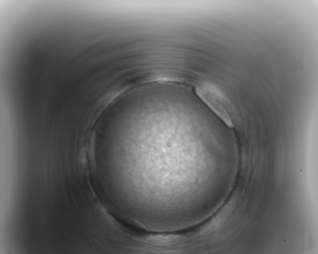 X0000088741185200706071654
