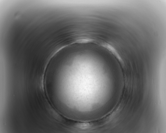 X0000088741186200706071654