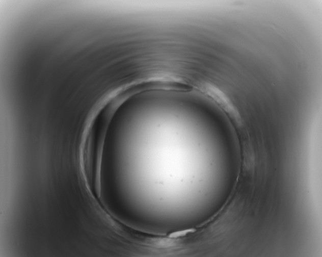 X0000088741188200706071654