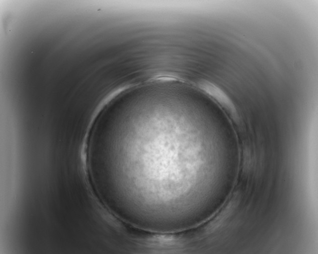 X0000088741190200706071654