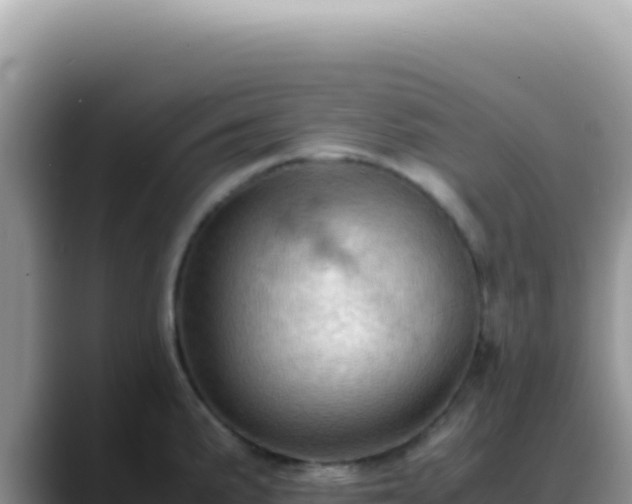 X0000088741191200706071654
