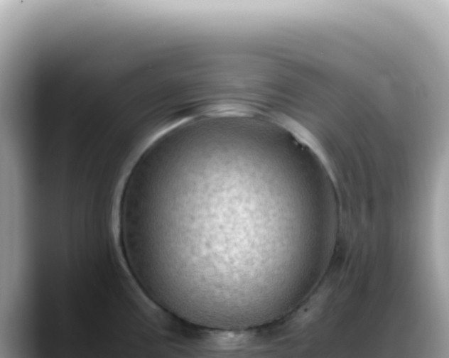 X0000088741195200706071653