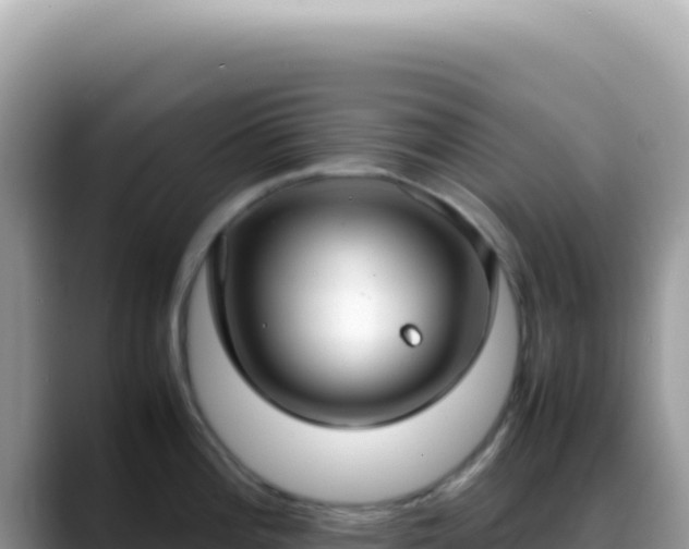 X0000088741196200706071653