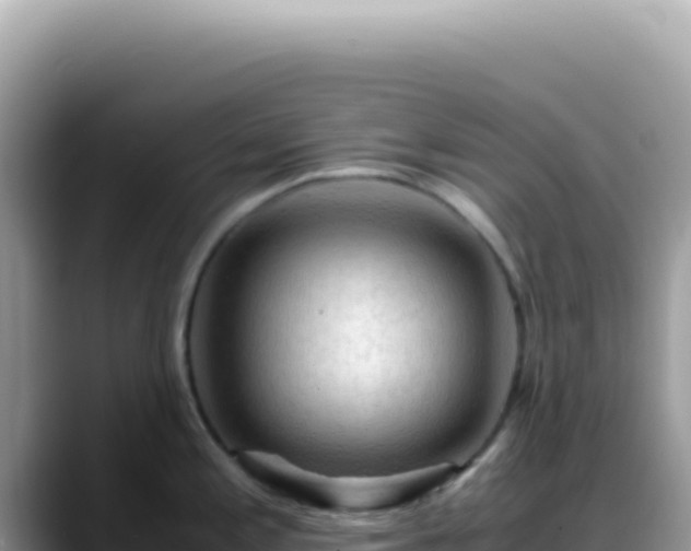 X0000088741197200706071653