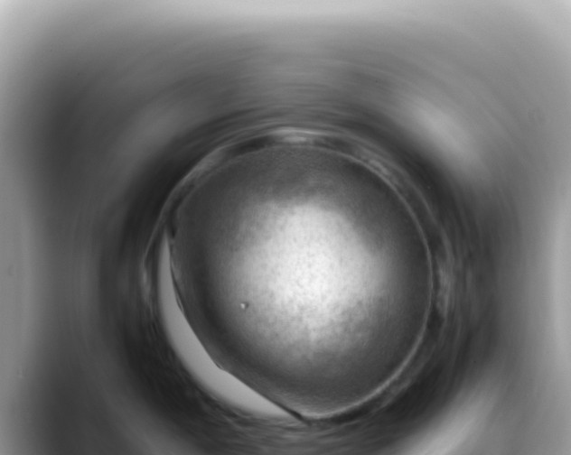 X0000088741198200706071653