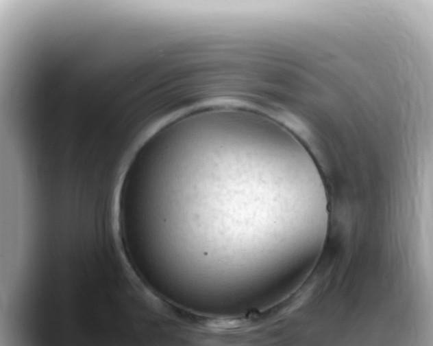 X0000088741199200706071653