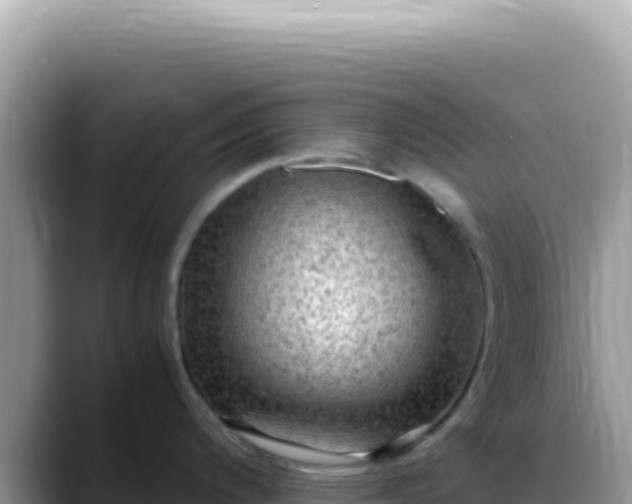 X0000088741200200706071653