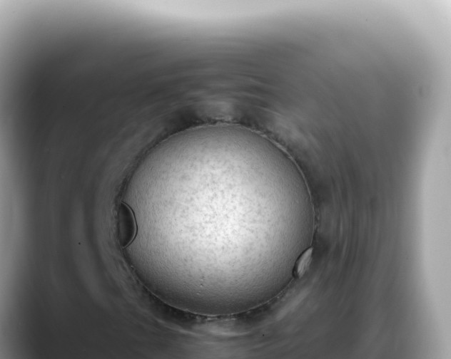 X0000088741201200706071653