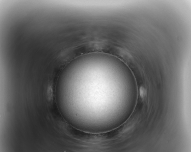 X0000088741203200706071653