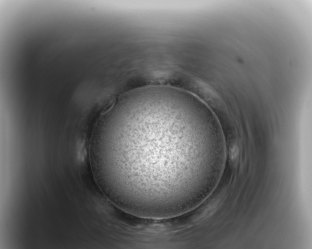 X0000088741204200706071653