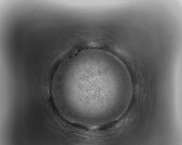 X0000088741205200706071653