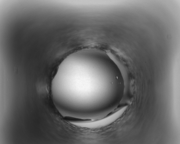 X0000088741206200706071653