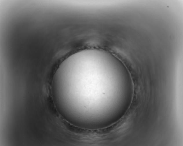 X0000088741207200706071653