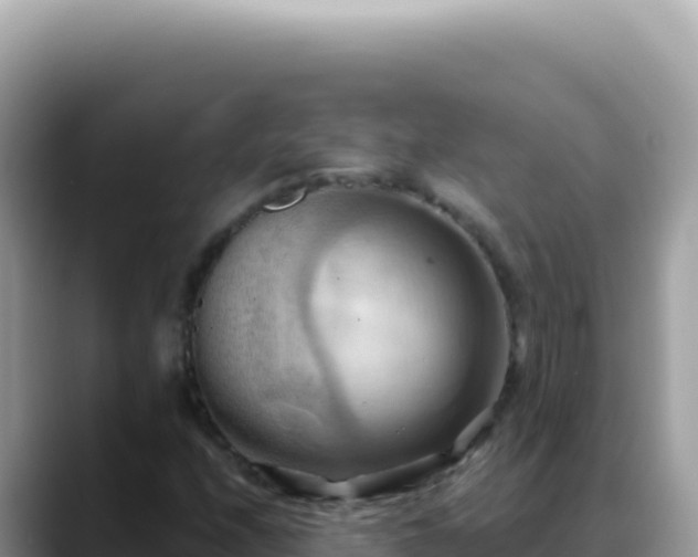 X0000088741208200706071653
