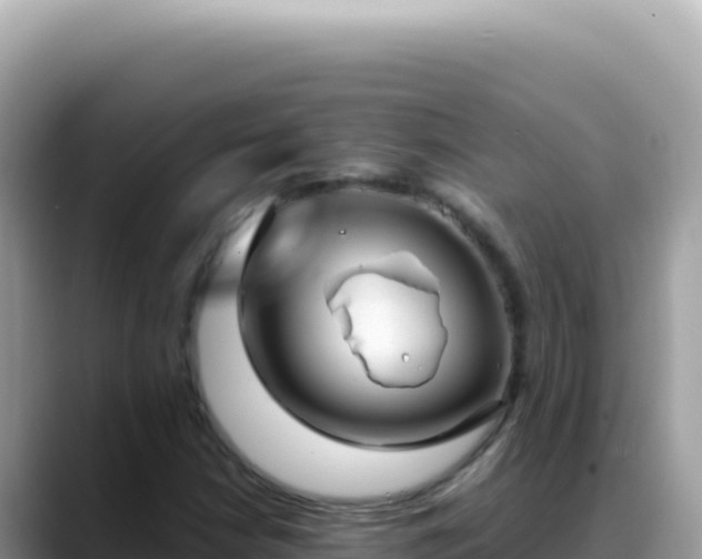 X0000088741210200706071653