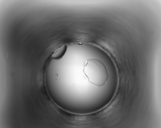 X0000088741211200706071653