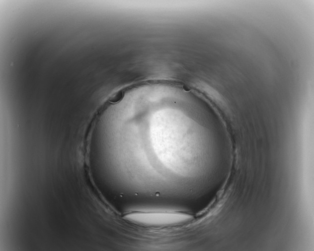 X0000088741212200706071653