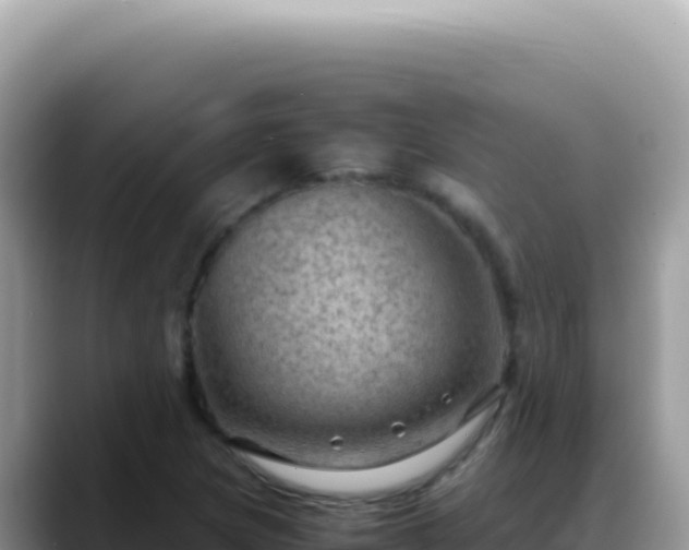 X0000088741217200706071653