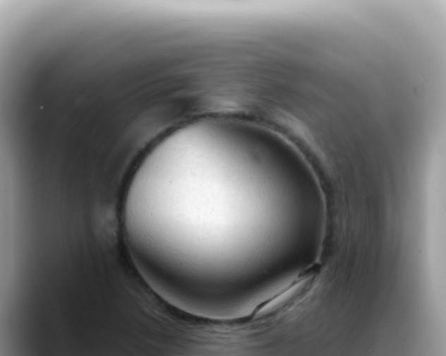 X0000088741218200706071653