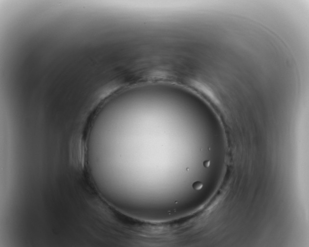X0000088741219200706071653
