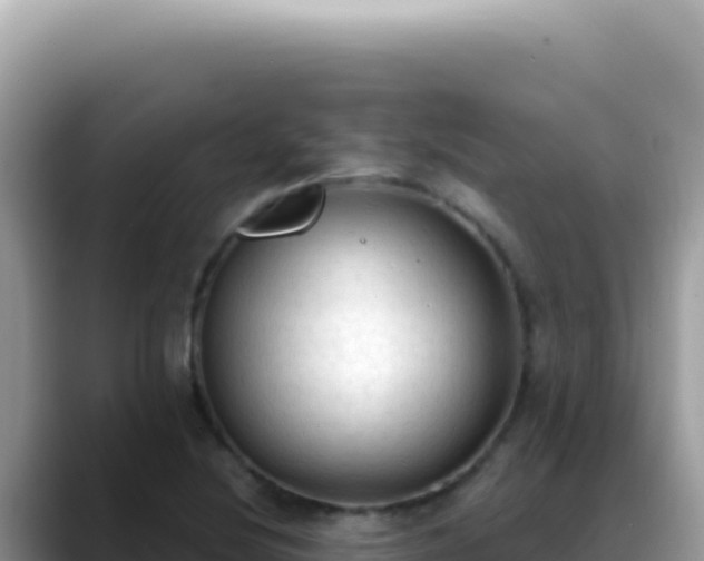 X0000088741220200706071653