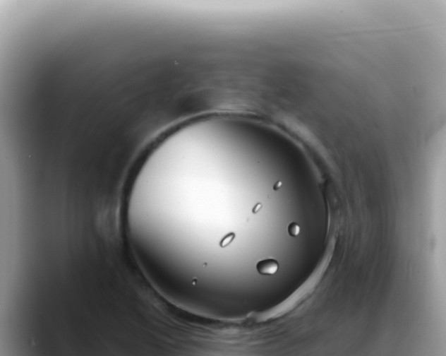 X0000088741222200706071653