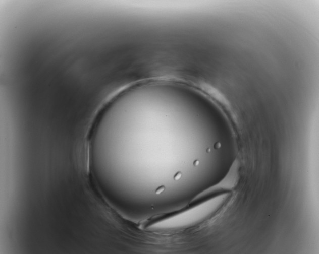 X0000088741223200706071653