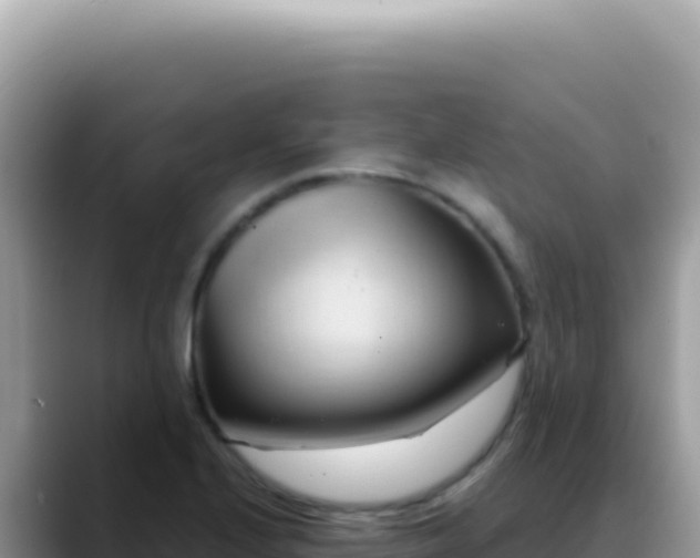 X0000088741224200706071653