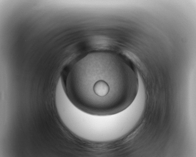 X0000088741225200706071653