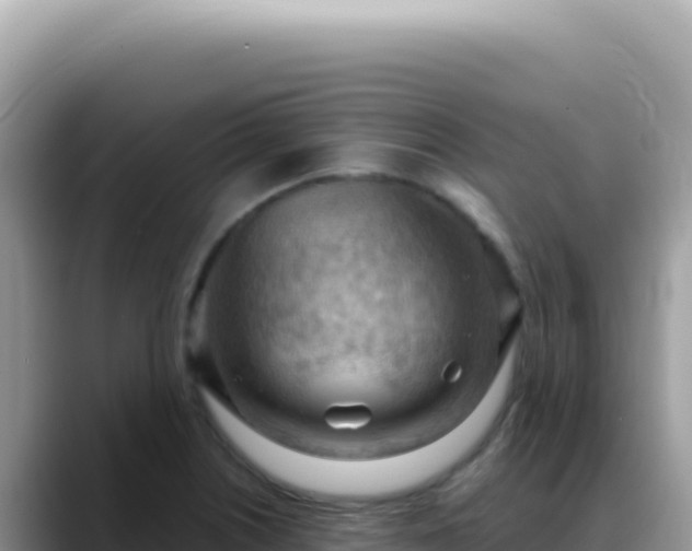 X0000088741226200706071653