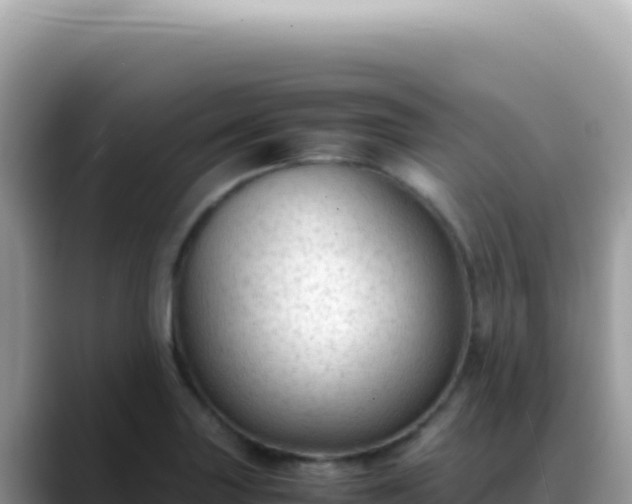 X0000088741227200706071653